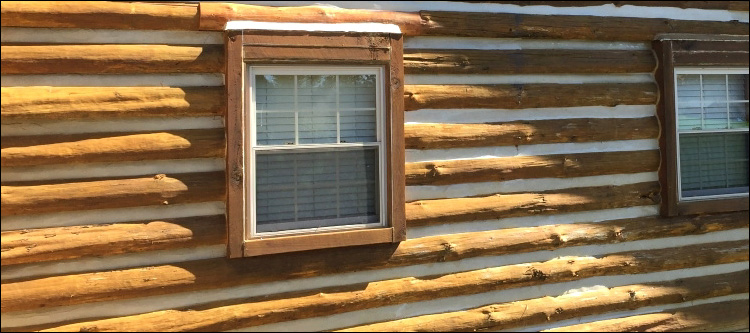 Log Home Whole Log Replacement  Powellsville,  North Carolina
