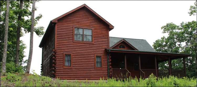 Professional Log Home Borate Application  Windsor,  North Carolina